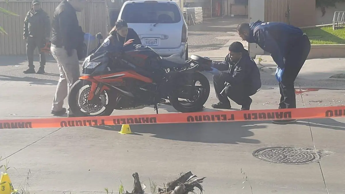 WhatsApp Image 2020-03-06 at 9.07.35 AM (1)