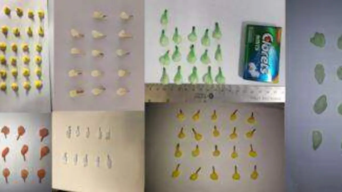 WhatsApp Image 2019-05-11 at 5.30.26 PM (2)