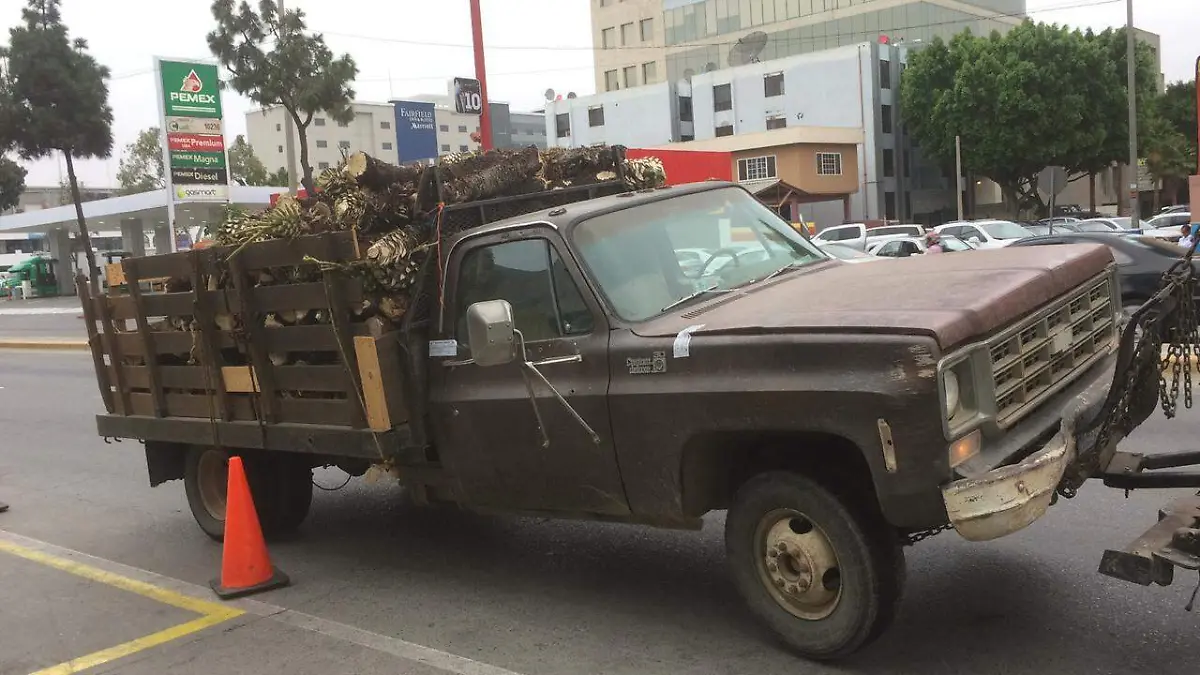 Capturan a cuatro “talamontes” en Tecate