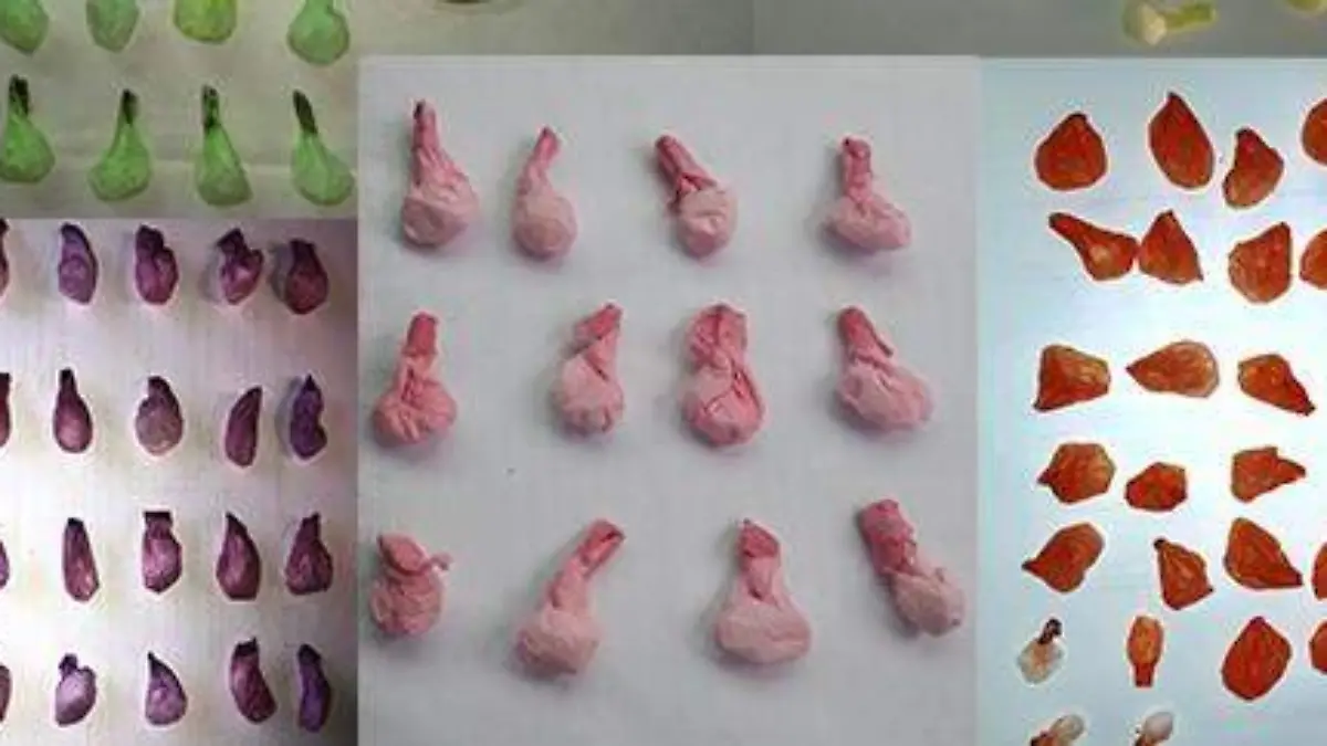 WhatsApp Image 2018-12-09 at 1.28.50 PM