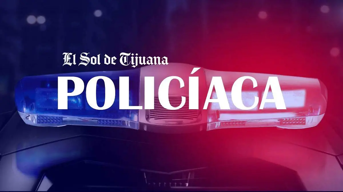 poli nueva