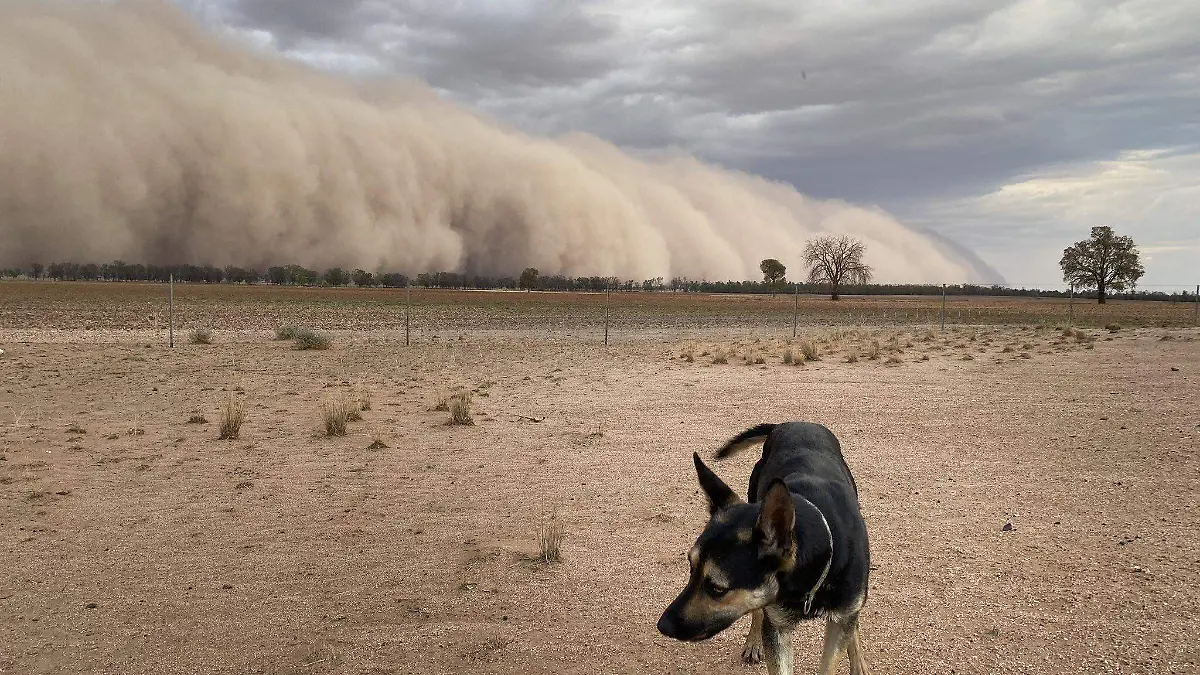 Tormentas polvo Australia