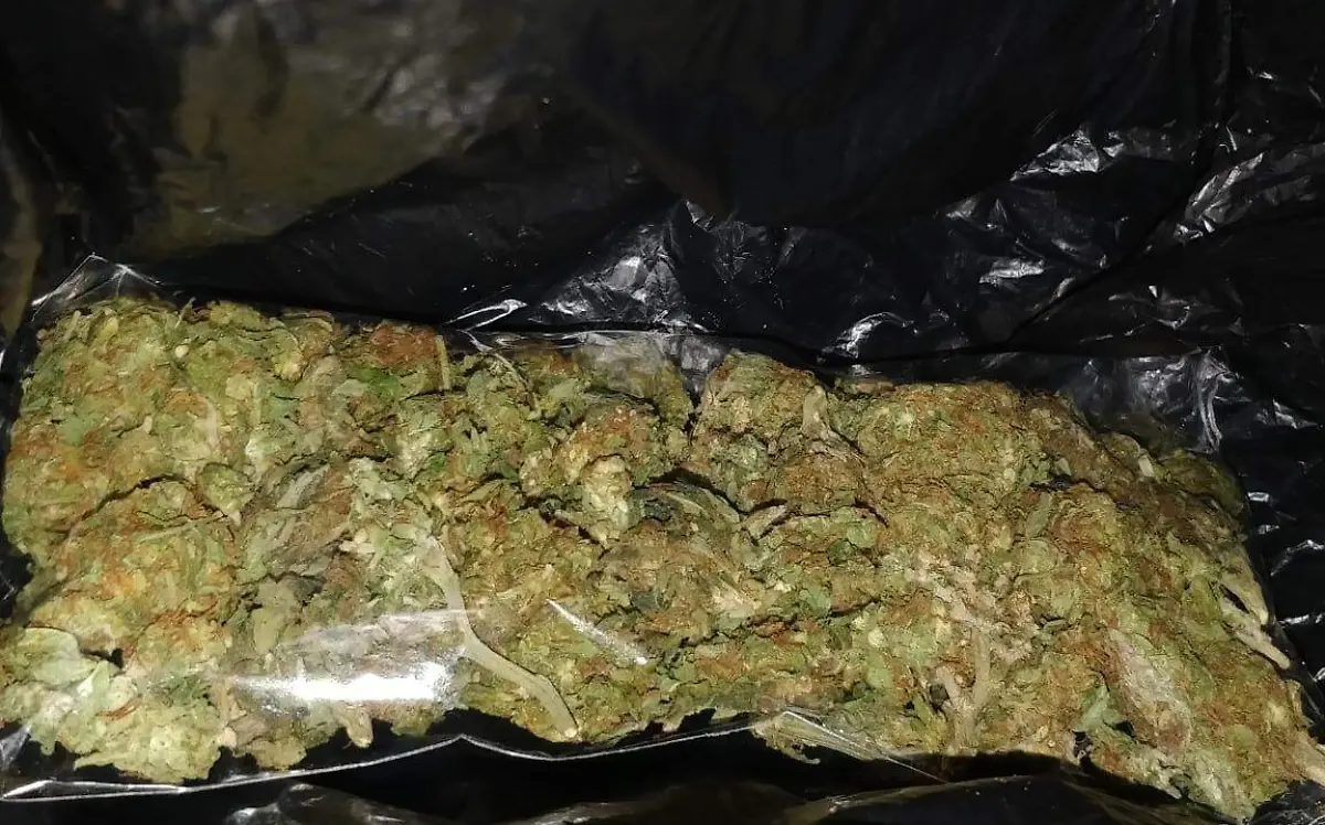 WhatsApp Image 2018-12-12 at 10.19.14