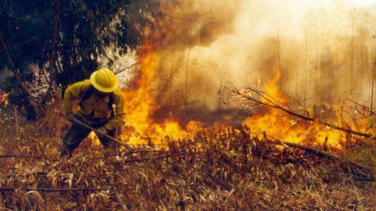 10A-NOTA-4-2-577x400