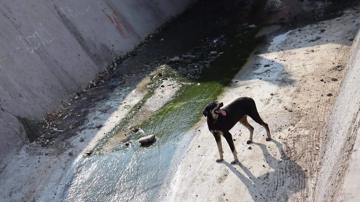 Ayuntamiento desarenadores