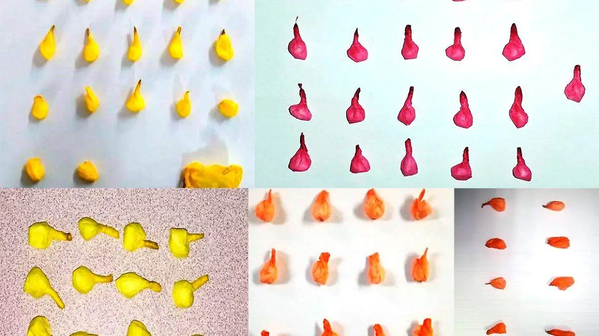 b02b8a36-c720-489d-a065-54e4c6ce904f