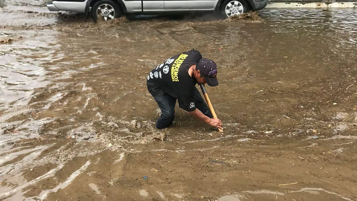 bd5b3cc4-464b-401a-863d-803c96eb0797