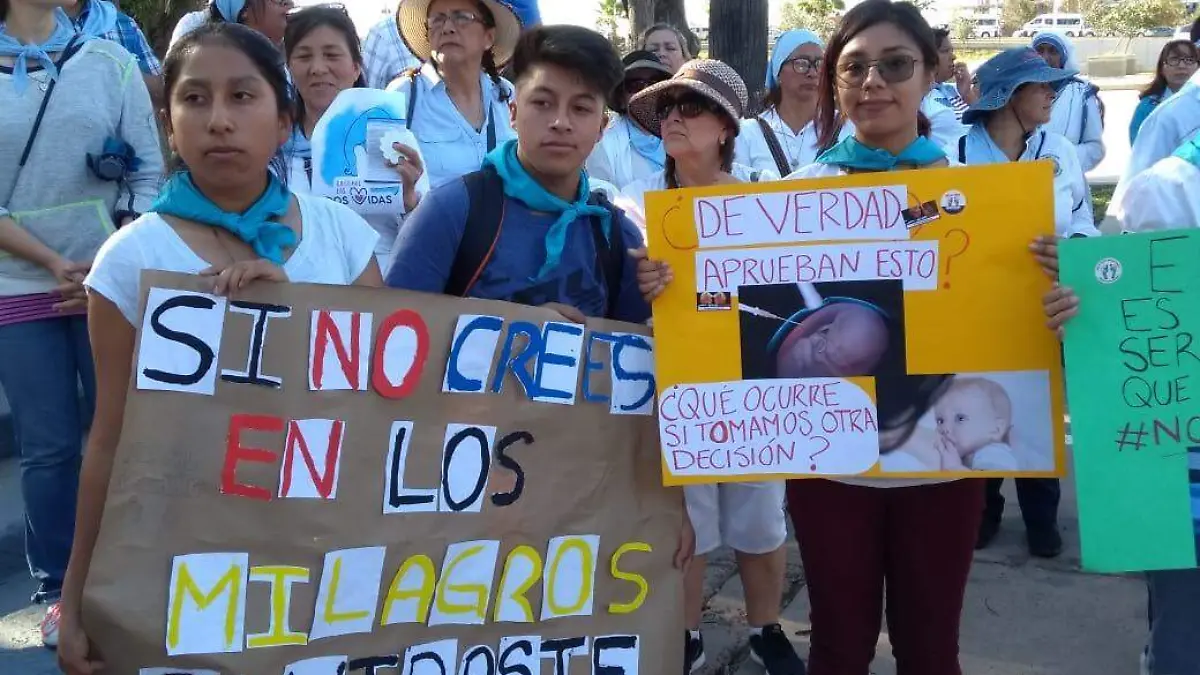 668ec804-1ed5-44a8-b314-6e596d31906d