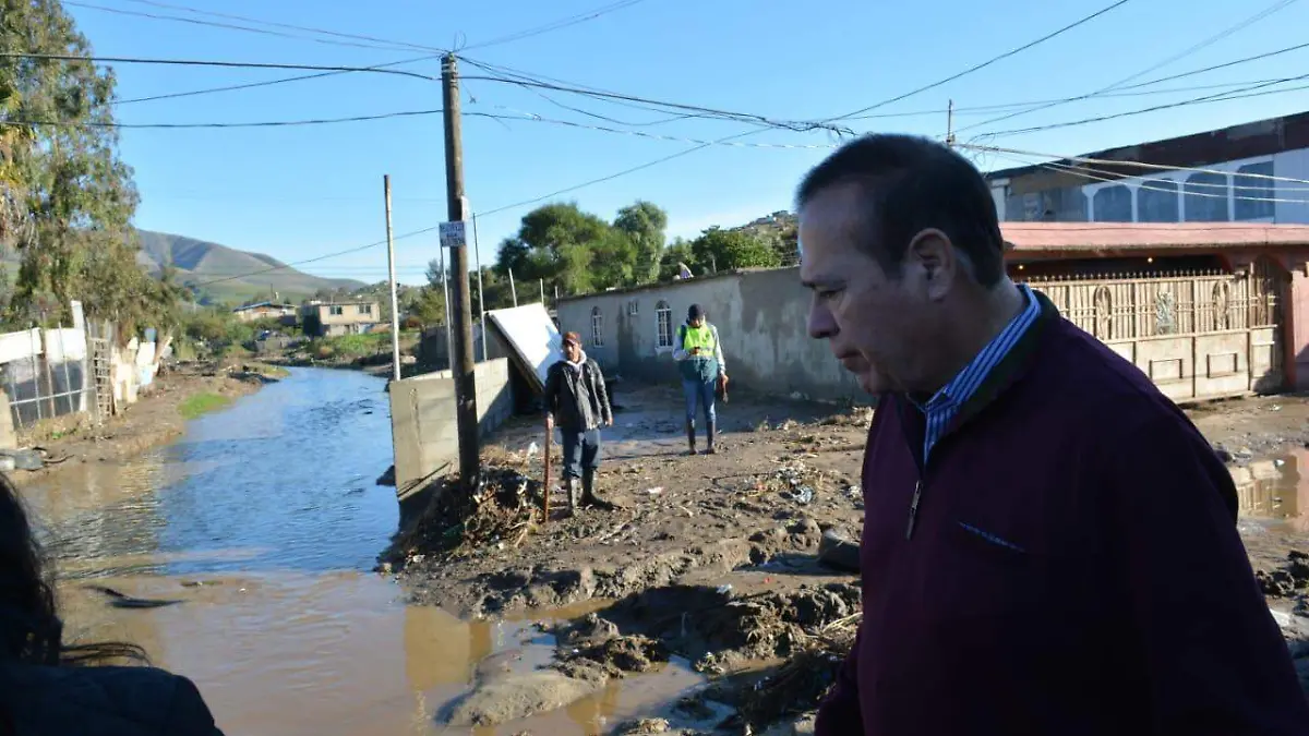 Alcalde