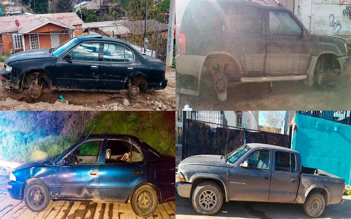 WhatsApp Image 2019-03-02 at 10.24.28