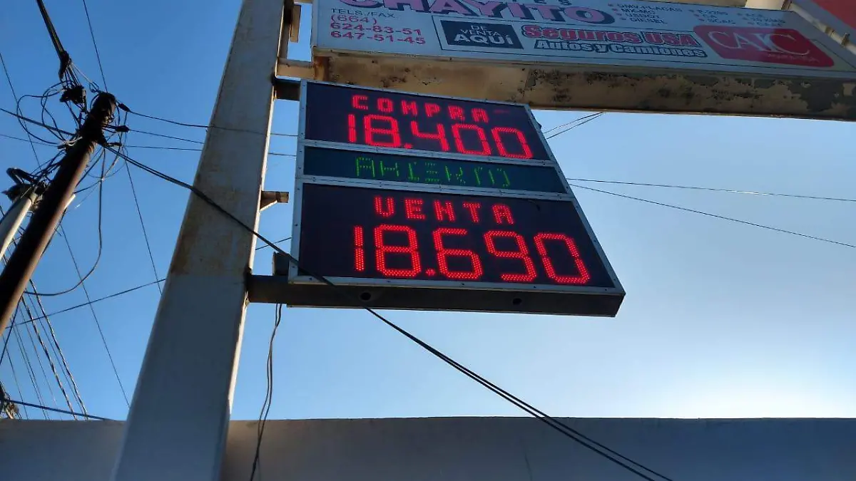 WhatsApp Image 2019-10-20 at 9.14.30 AM