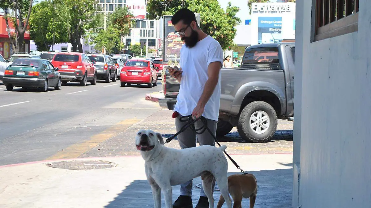 clínica municipal gratuita para mascotas