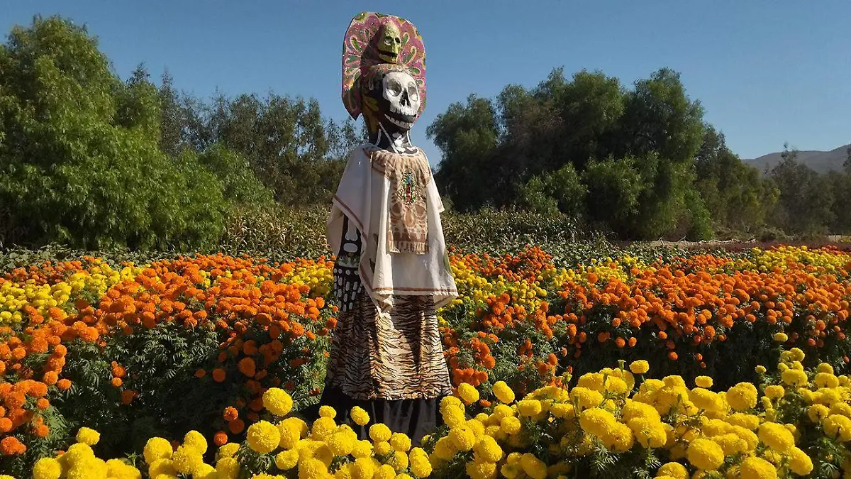 Día-de-muertos-cempasúchil