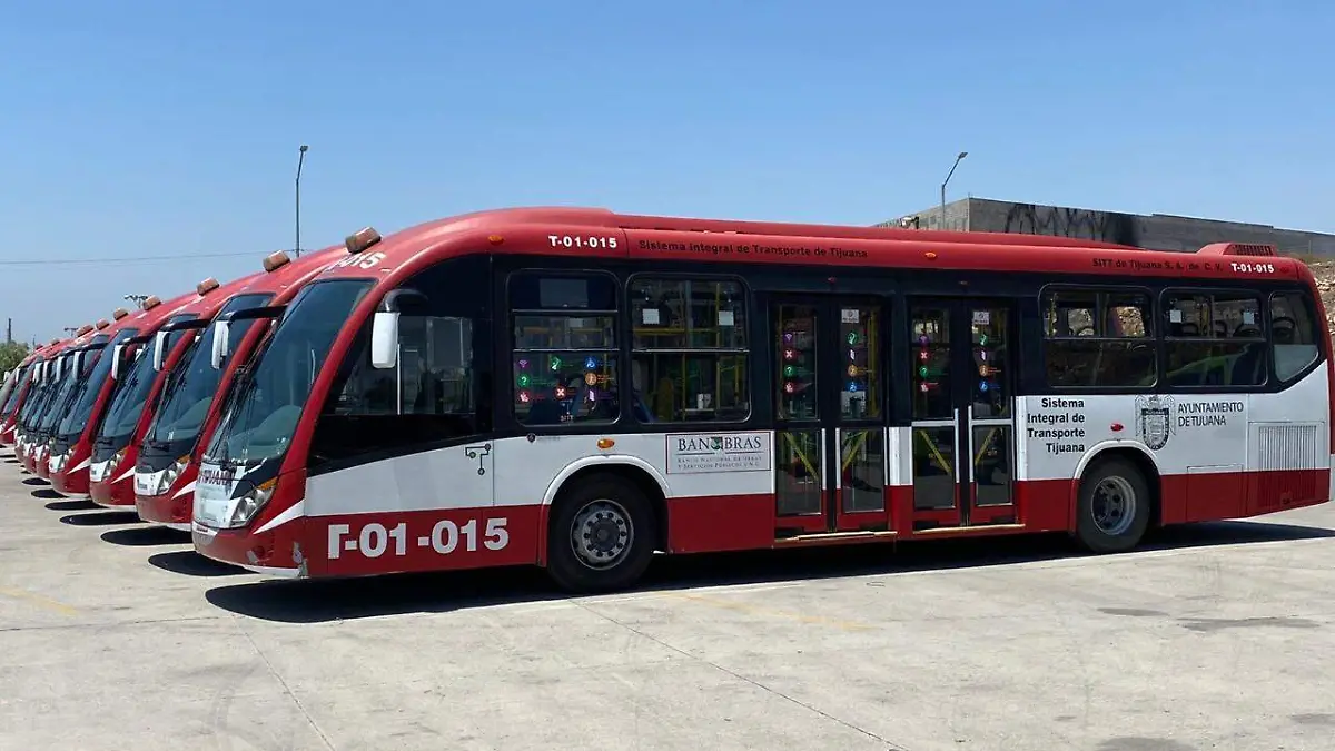 WhatsApp Image 2021-06-02 at 9.58.51 AM (2)