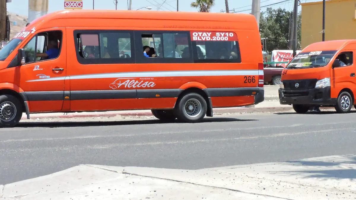 41