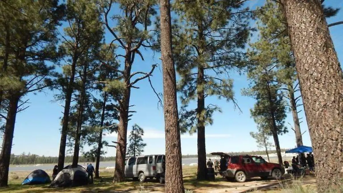 f5b23a5a-7474-4d74-b7f6-2fdeb3df8be6