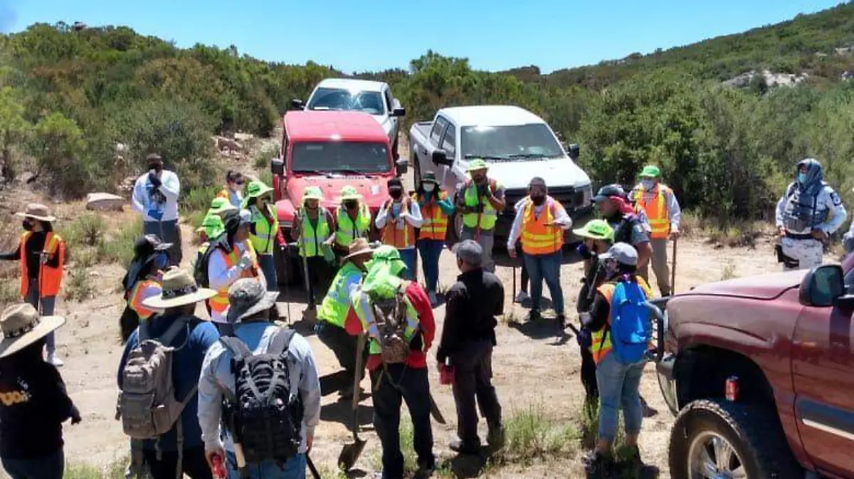 Personas desaparecidas