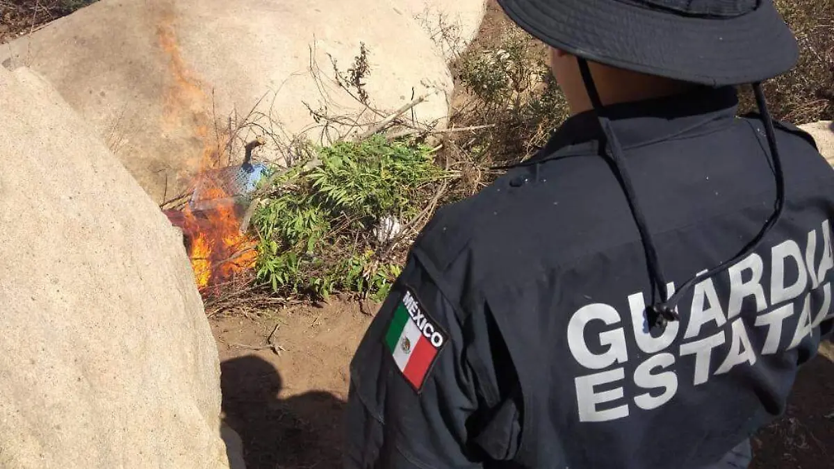 WhatsApp Image 2020-09-24 at 4.38.00 PM