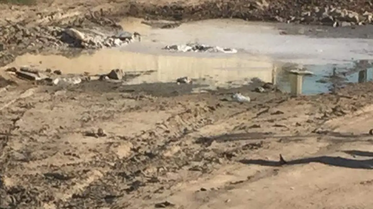 WhatsApp Image 2019-10-06 at 10.58.07 AM