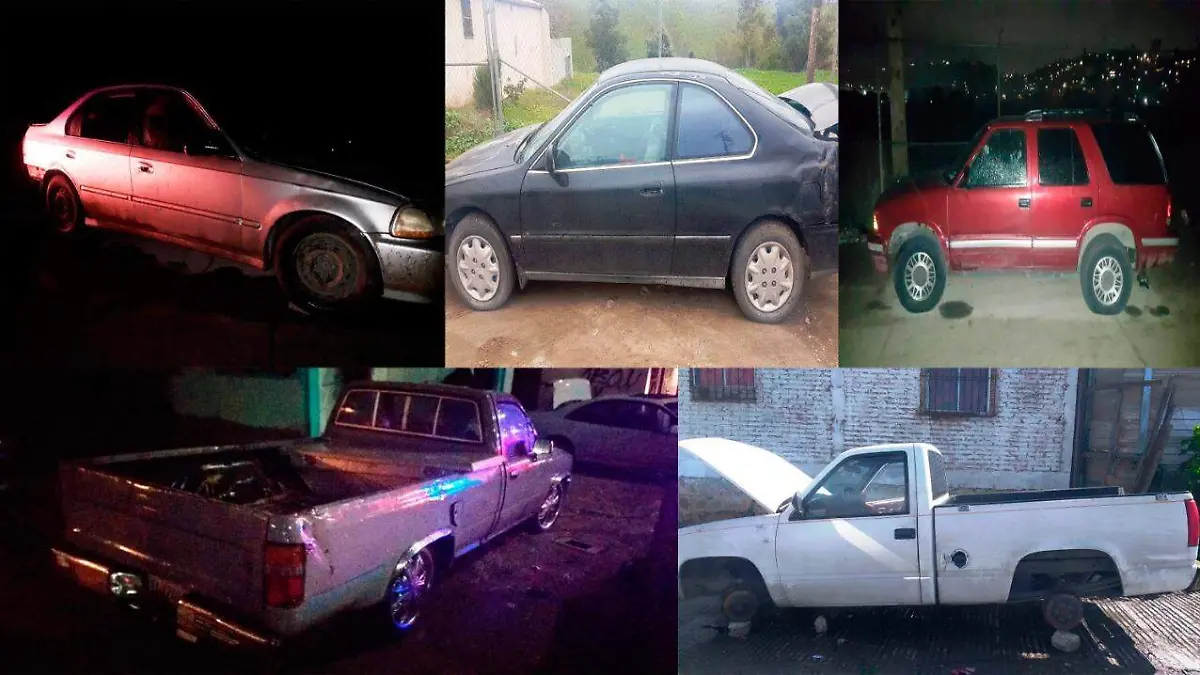 WhatsApp Image 2019-02-19 at 11.48.10