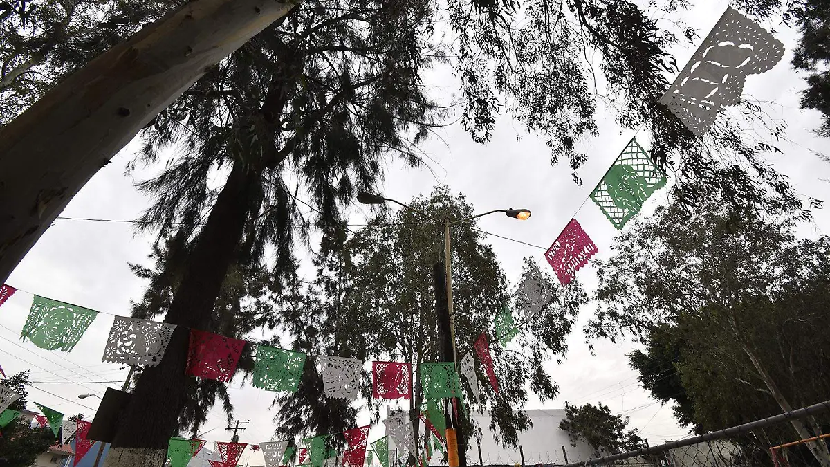 Colonia-Arboleda-postes-de-luz