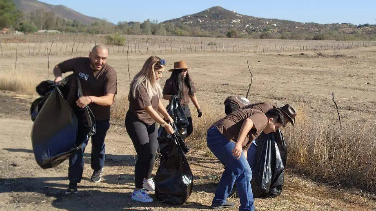 Valle-de Guadalupe-Limpieza