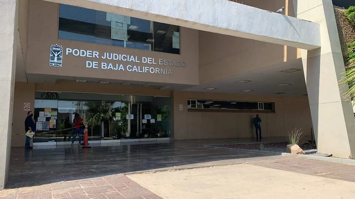 WhatsApp Image 2020-12-01 at 3.19.52 PM