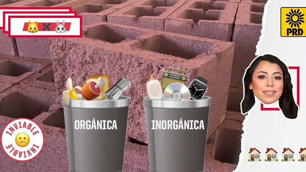 WhatsApp Image 2019-05-15 at 9.02.21 PM