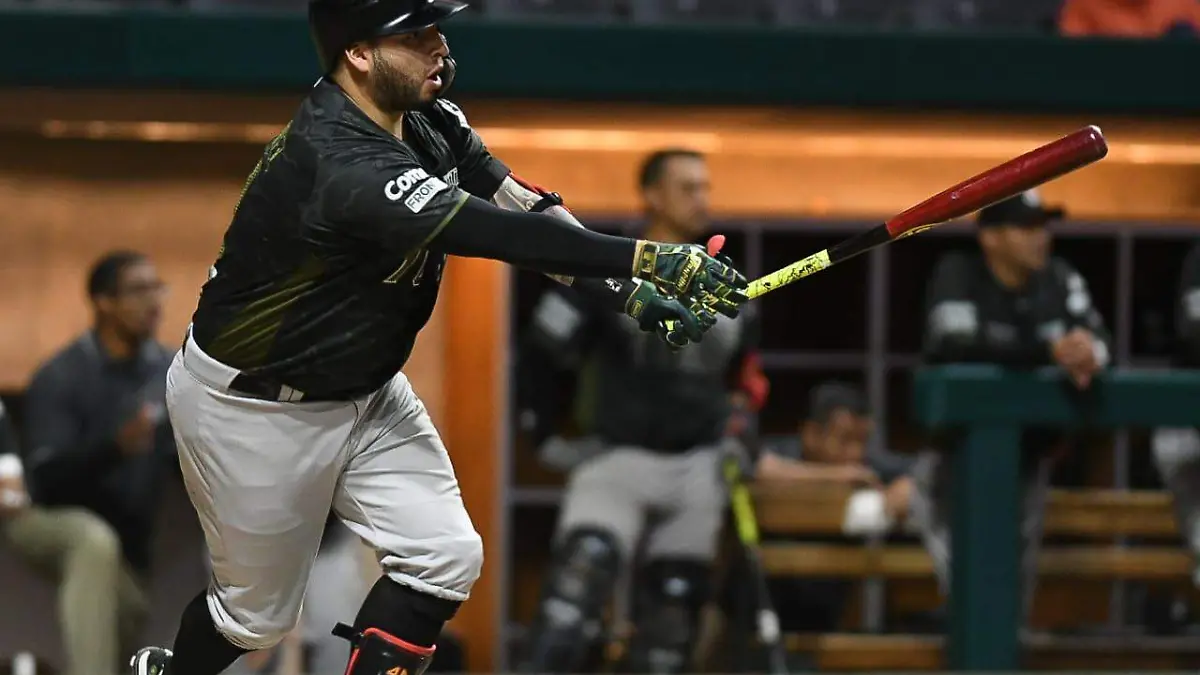 6d4c8d15-a5fc-41b3-aec4-7b7cefa49a13