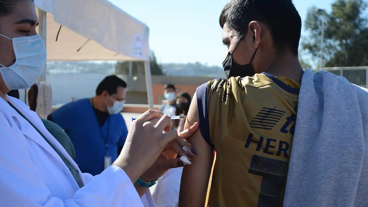 Aplicación-de-vacuna