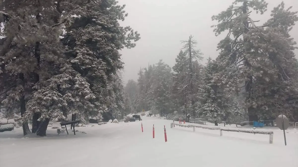 Sierra San Pedro Mártir