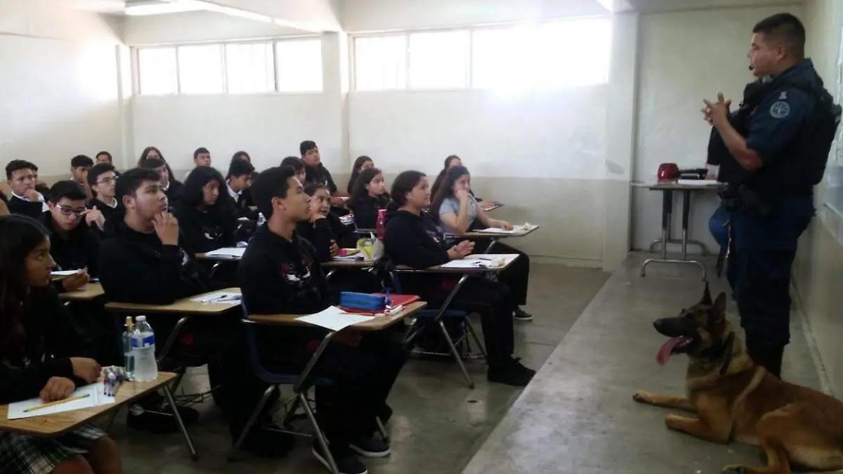 COBACH-Operativo1