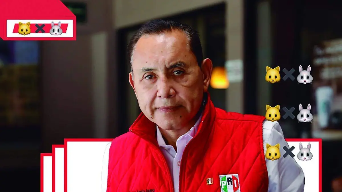 WhatsApp Image 2019-05-03 at 11.26.43 PM