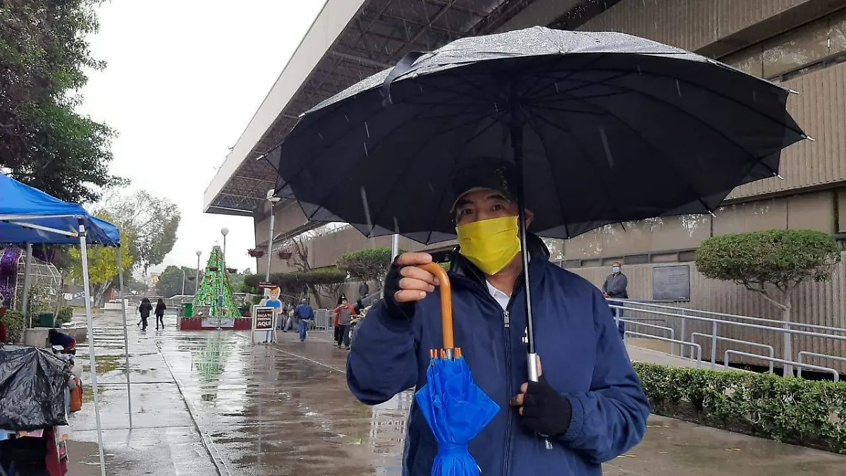 WhatsApp Image 2021-01-20 at 12.25.12 PM