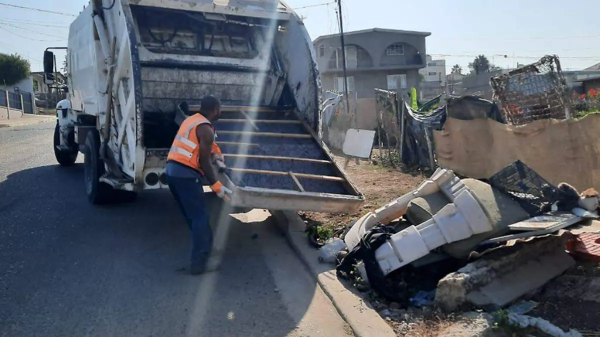 WhatsApp Image 2020-08-19 at 5.00.45 PM