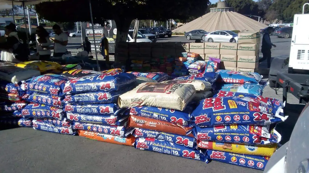 WhatsApp Image 2018-12-08 at 14.24.30 (1)