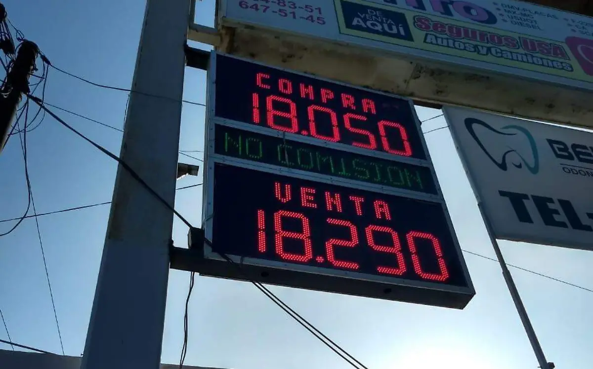 WhatsApp Image 2018-09-29 at 08.50.09 (1)