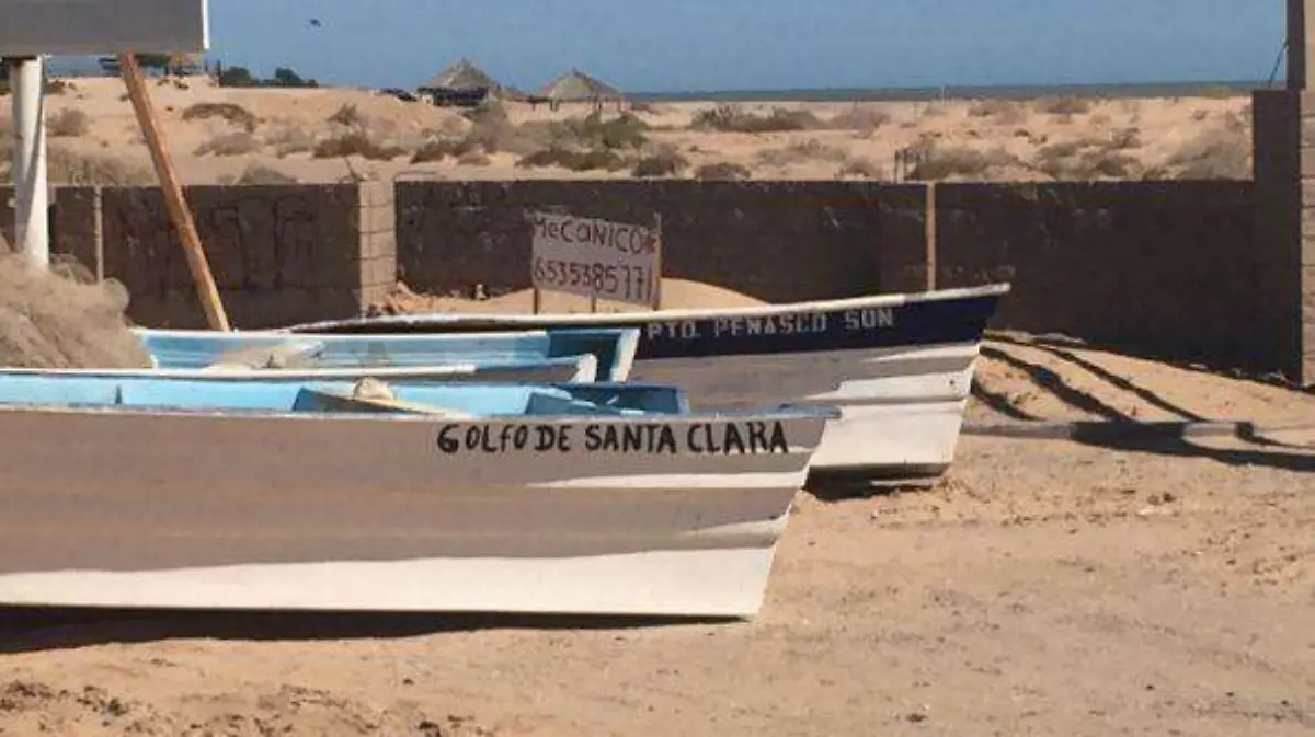 embarcaciones