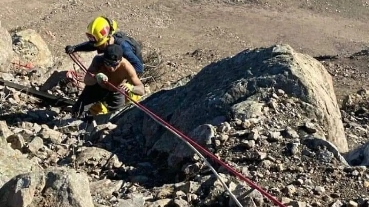 WhatsApp Image 2021-01-27 at 5.39.44 PM