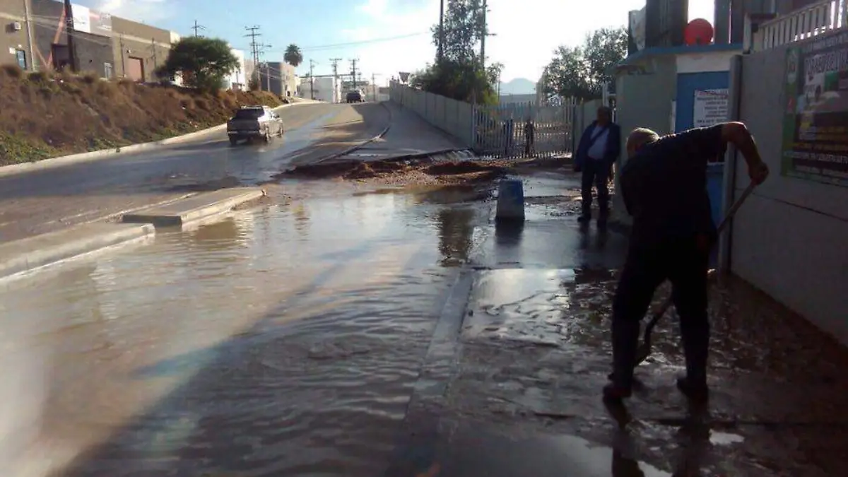 73472570_2736856716344678_8004025414156550144_n