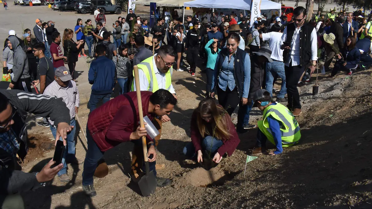 siembran arboles nativos de bc