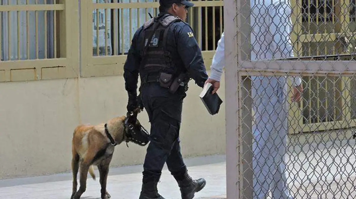 Portada11