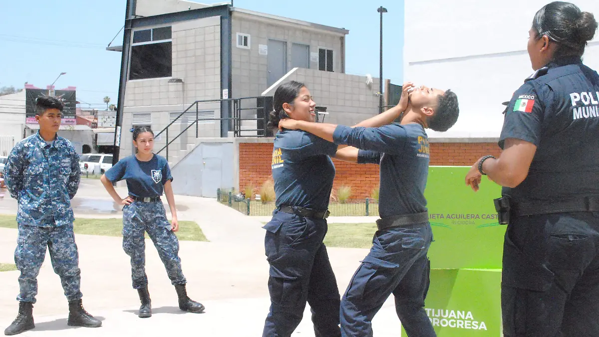 defensa