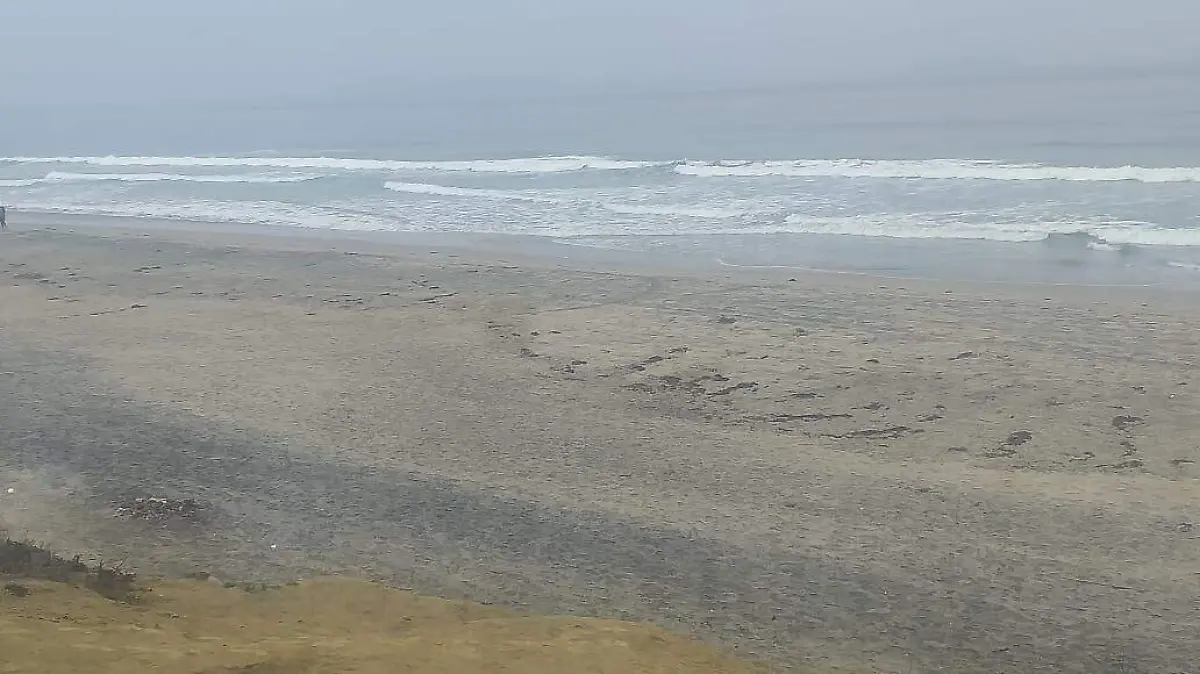 WhatsApp Image 2020-11-14 at 10.09.26 AM