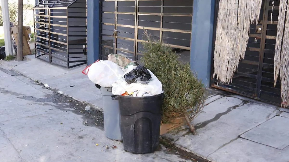 WhatsApp Image 2020-01-03 at 11.55.53