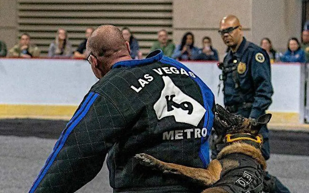 WhatsApp Image 2018-11-05 at 4.42.48 PM