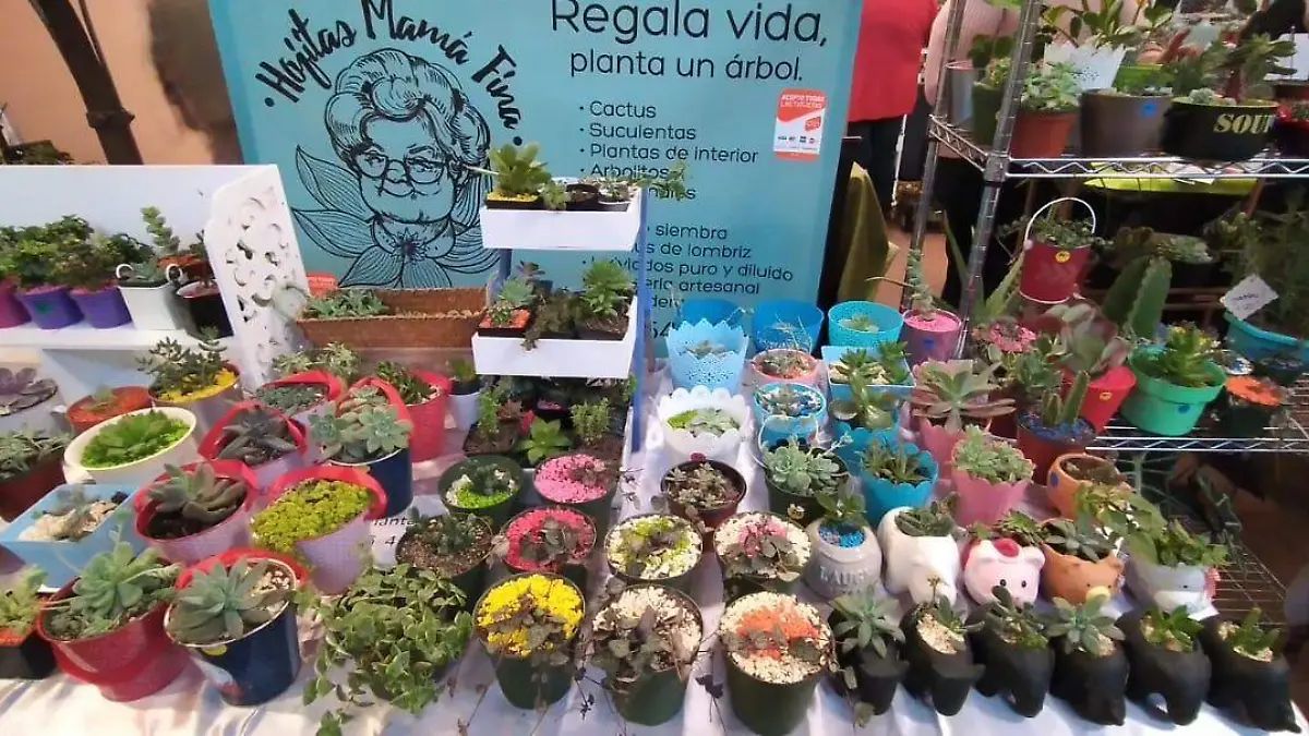 Expo plantas