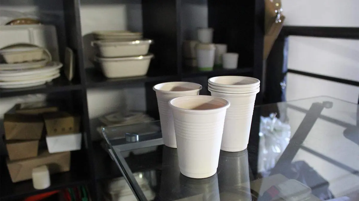 productos biodegradables