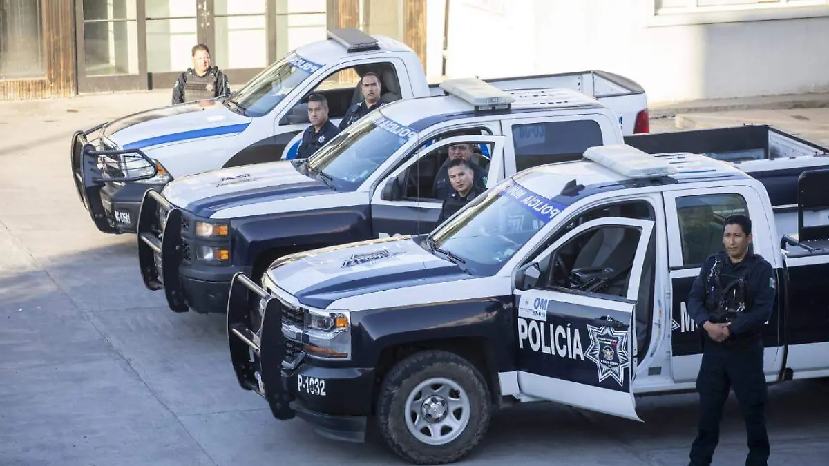 WhatsApp Image 2018-11-11 at 4.52.27 PM