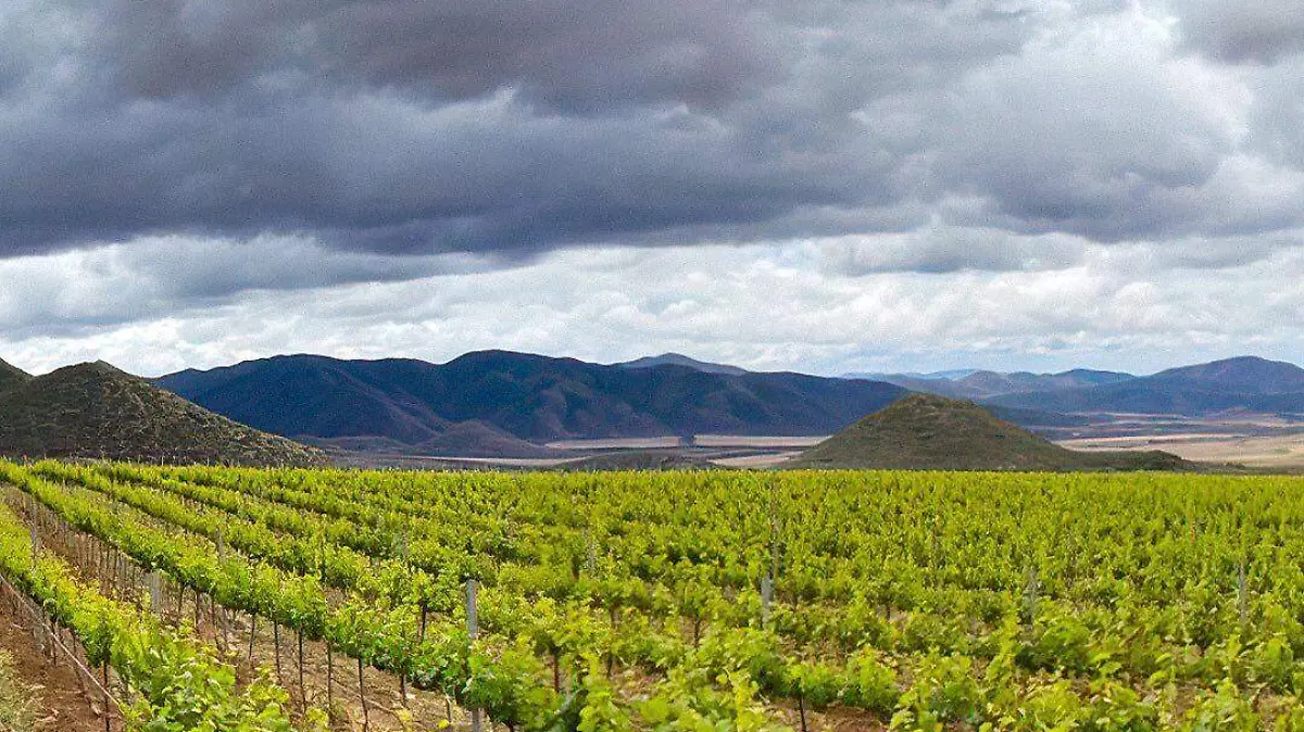 Valle-Guadalupe